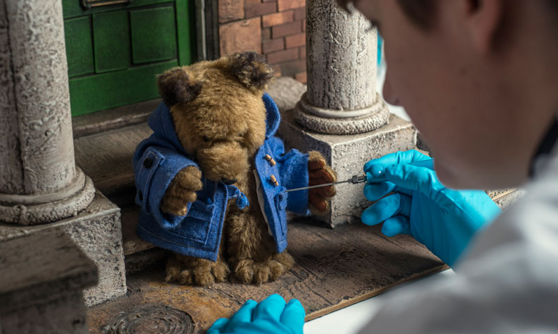 Small Paddington Bear being cleaned by a conservator 