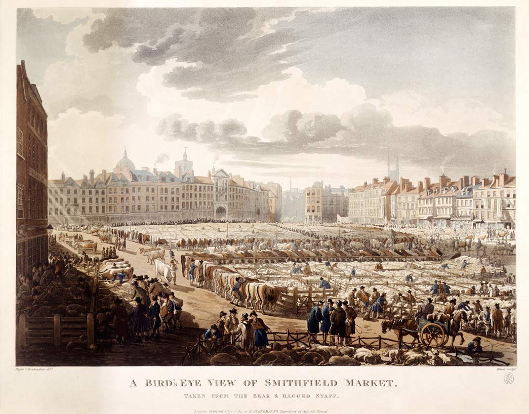 Bird's Eye View of Smithfield Market taken from the Bear and Ragged Staff. Coloured aquatint. General view over the cattle and sheep stalls at Smithfield market.