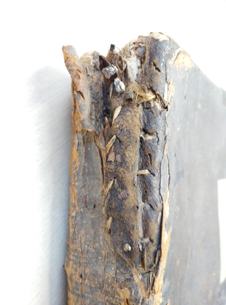 The spine of a 17th century bible, reputedly burnt during the Great Fire of London.