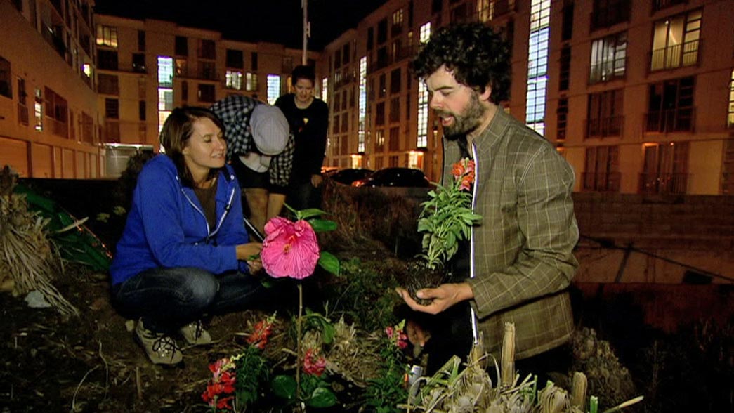 'Guerilla gardener' Richard Reynolds plants flowers and vegetables in neglected urban spaces, re-greening south London.