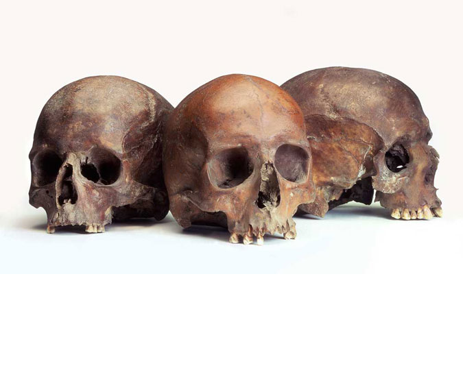 Group of three Roman skulls.