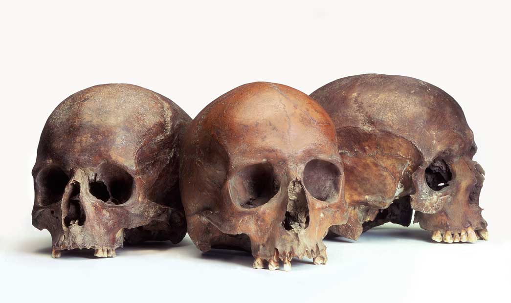 Group of Roman human skulls. Numerous human skulls (without any skeletal remains) have been found in the Walbrook stream. These may have been deposited there as religious offerings to British water gods.
