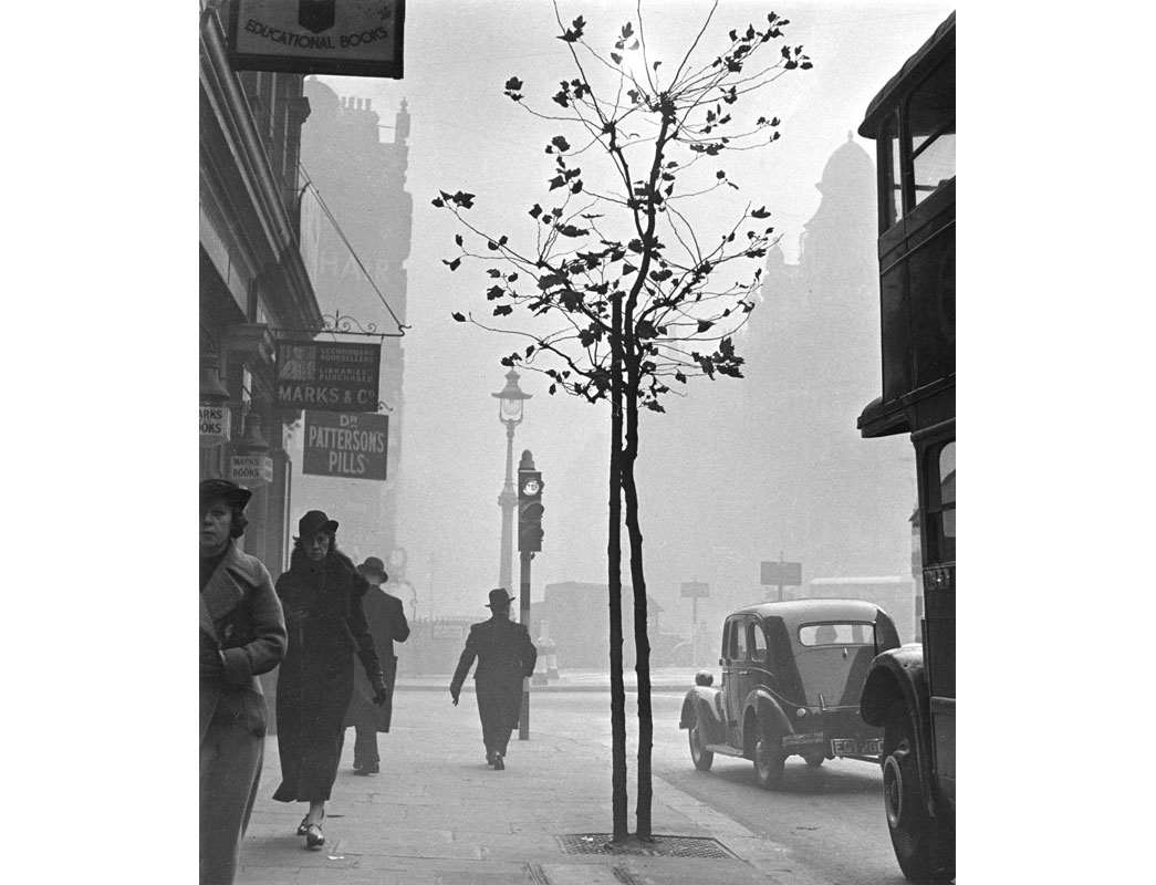 Charing Cross, Cambridge Circus in smog. The legendary pea-souper - thick fog that London endured for centuries is illustrated in this photo taken near Cambridge Circus. Standing outside the second-hand booksellers Marks & Co at 84, Charing Cross Road, Wolf Suschitzky captured the atmosphere created by the heavy coal smoke of industry and domestic chimneys. People appear accustomed to the polluting smog that often surrounded them. However, such fogs did affect routine: poor visibility disrupted transport and consequentially many aspects of every day life in the capital. Suschitzky worked as a film cameraman in nearby Soho. Between his working hours, he created a series of photos depicting the activity in and around Charing Cross Road.
