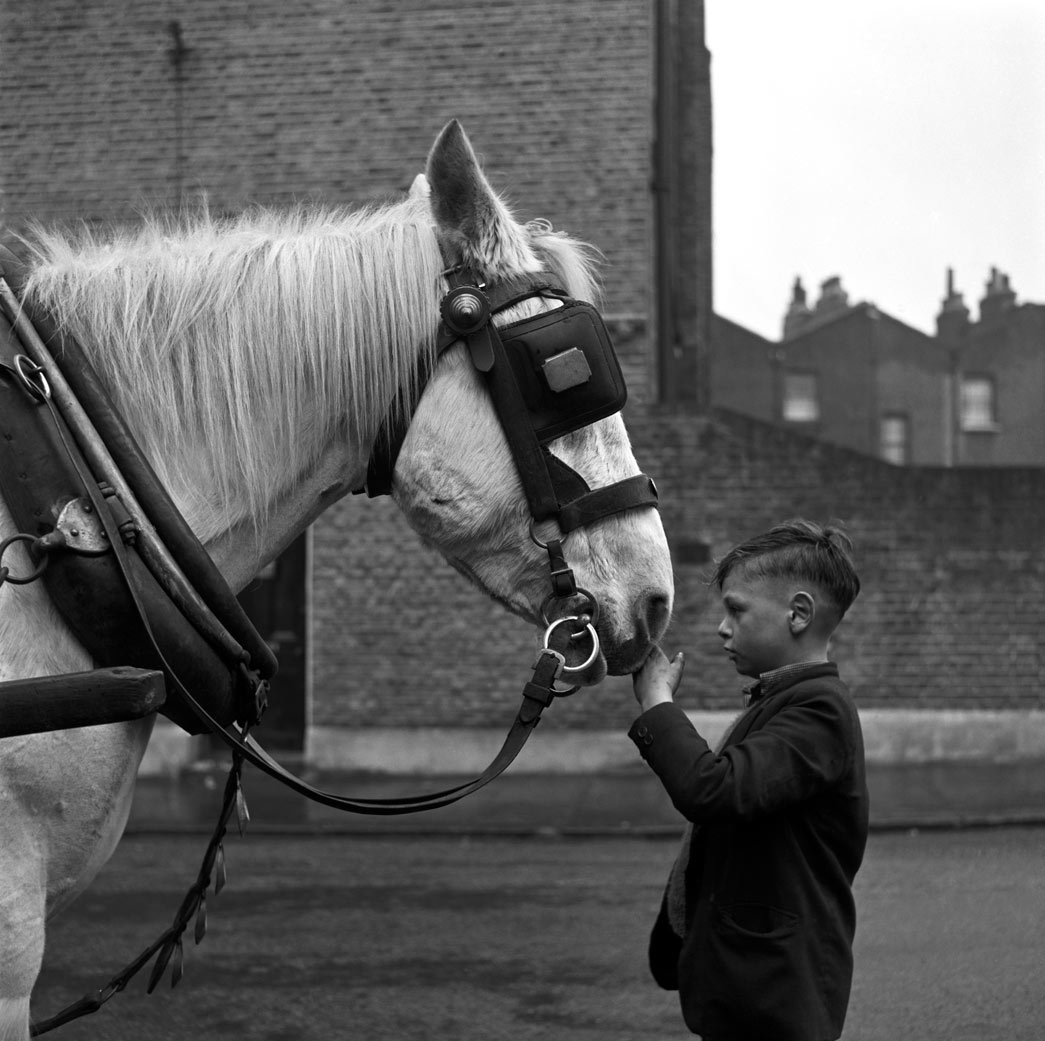 Young boy and horse, London c.1953, copyright Frederick J. Wilfred