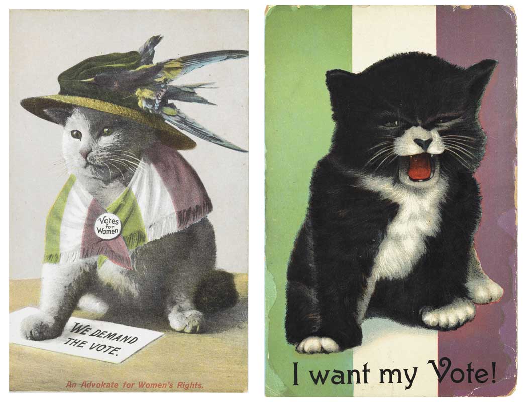 'An Advokate for Women's Rights', a commercially produced picture postcard of a cat dressed as a Suffragette satirising the Suffragette campaign.