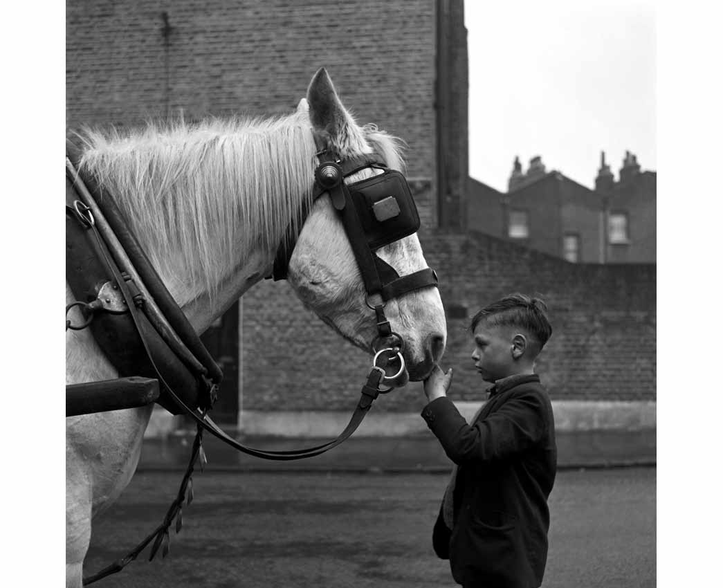 A young boy strokes the nose of a horse standing in harness in the street.