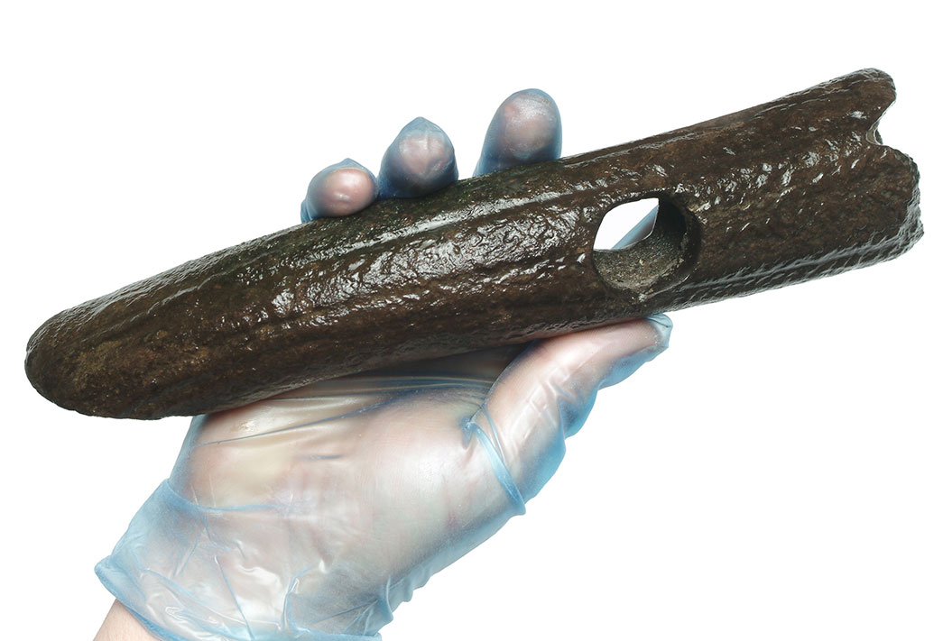 An antler beam mattock found in 2004 on the Thames foreshore at Surrey. It has an oval perforation in where a wooden handle would have been attached, which does not survive.