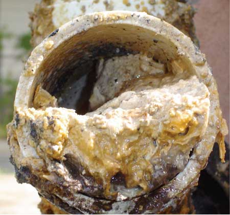 A pipe clogged with Fatberg.