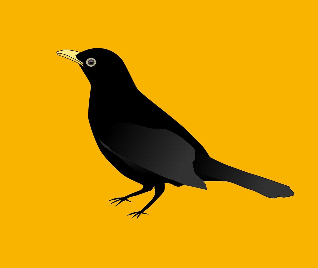 Illustration of a blackbird against a yellow background.