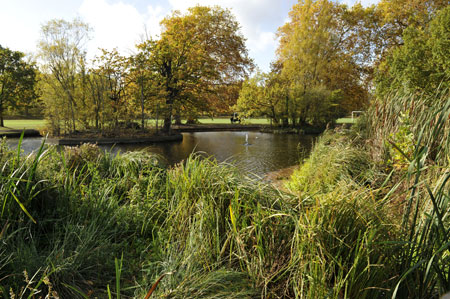 A view across Wandsworth Common pond.
