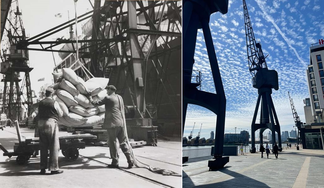 Then (left): Sacks of flour being discharged from the Beaverford at Royal Victoria Dock, 1954. (ID no.: PLA/PLA/PM/6/7/33/2(S1))
Now: A photo Gemma took of the Royal Victoria Docks, which she passes through regularly. “I love looking up at the iconic cranes that used to lift the boxes and bags of cargo from ships around the world,” she says. (Courtesy: Gemma Suyat)

