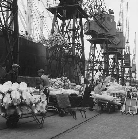 Dockers unload lamb imported from New Zealand. (©Henry Grant Collection/Museum of London; ID no.: 004579)