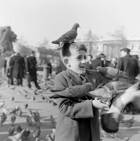 Henry Grant pigeons Trafalgar Square