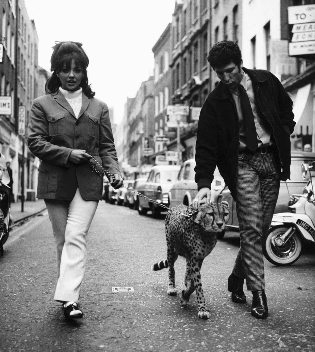 Singer Tom Jones and actress-model Christina Spooner accompanied by a cheetah during a promotion for Irvine Sellar on Carnaby Street, 1966. (Courtesy: Trinity Mirror / Mirrorpix / Alamy Stock Photo) 