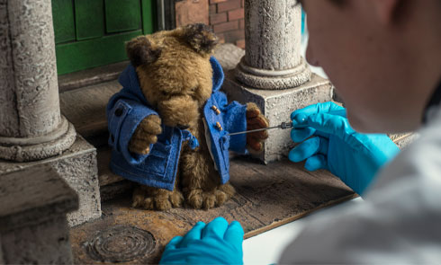 Paddington Bear being cleaned by a conservator
