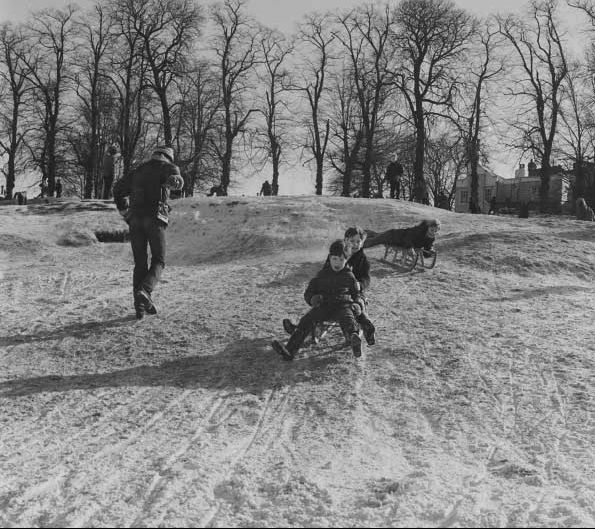 Boys enjoying a toboggan ride in the snow on Hampstead Heath in February 1969.