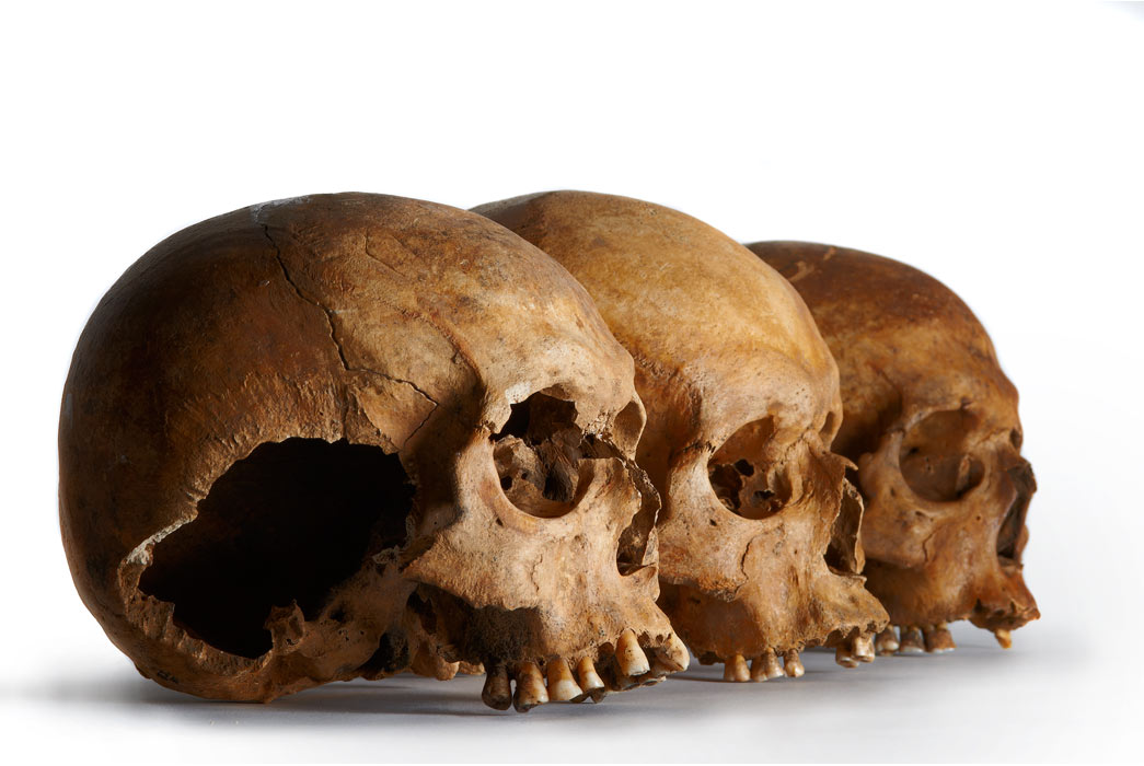 The Centre for Human Bioarchaeology's collection contains a wide selection of human remains from throughout London's history.