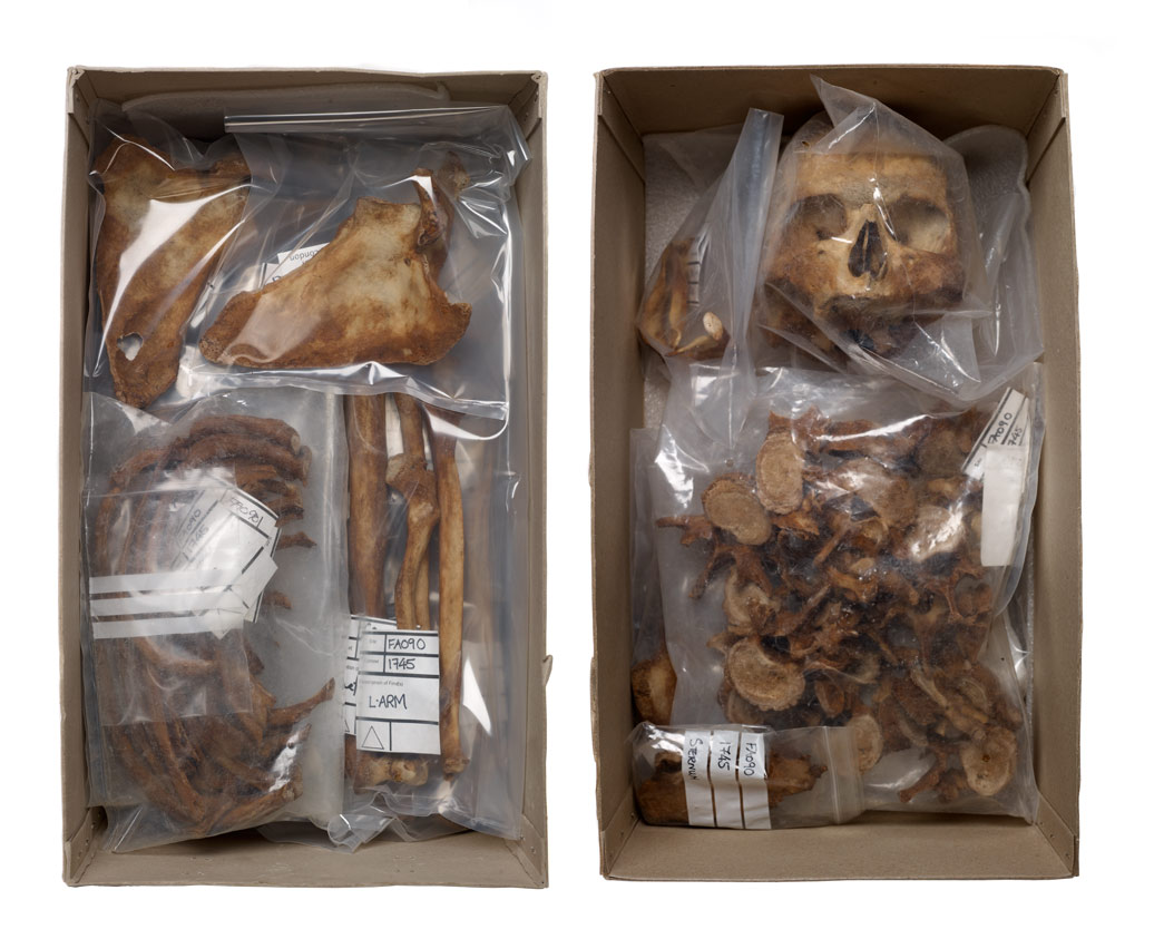 Two boxes of bones in the Centre for Human Bioarchaeology.