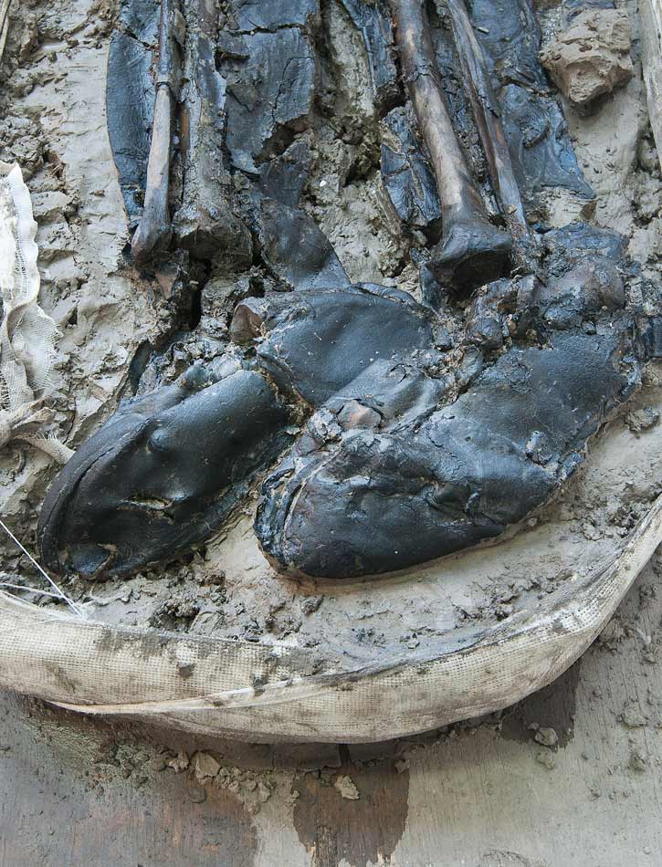 The booted man discovered on the Tideway site at Chambers Wharf in London (c) MOLA Headland Infrastructure