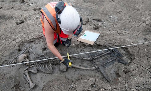 All of the archaeological discoveries from Chambers Wharf, including these human remains, will be deposited at the Museum of London to preserve them for future Londoners. 