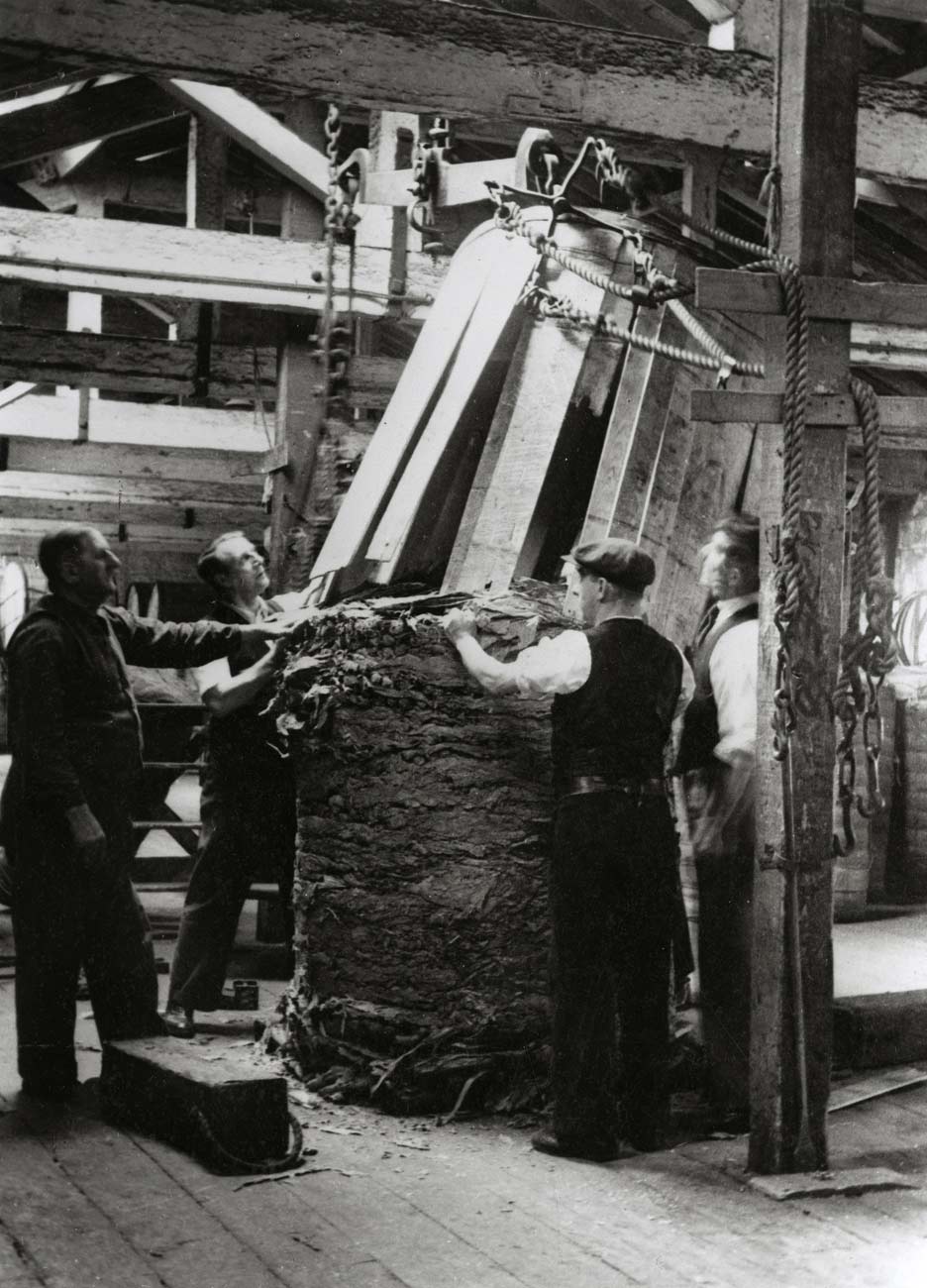 Staves of a tobacco hogshead being removed. Copyright PLA Archive/Museum of London.