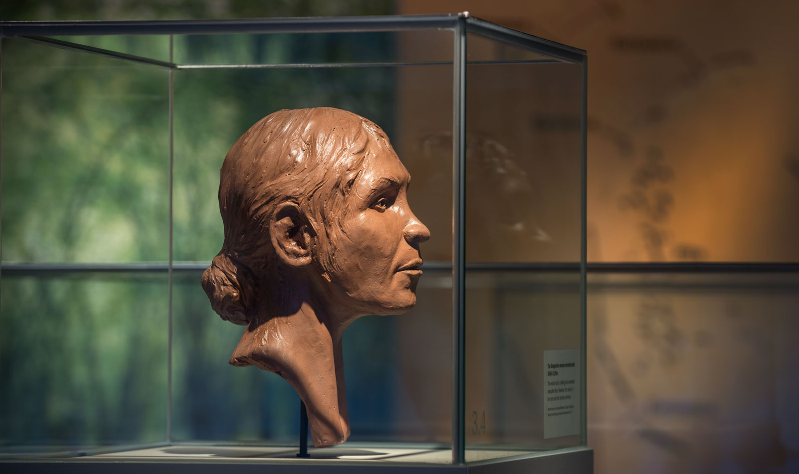 The reconstructed head of one of London’s oldest residents is displayed next to her skeleton. This Neolithic hunter-gatherer is named after the location of the gravel pit where she was buried, between 5640 and 5100 years ago.