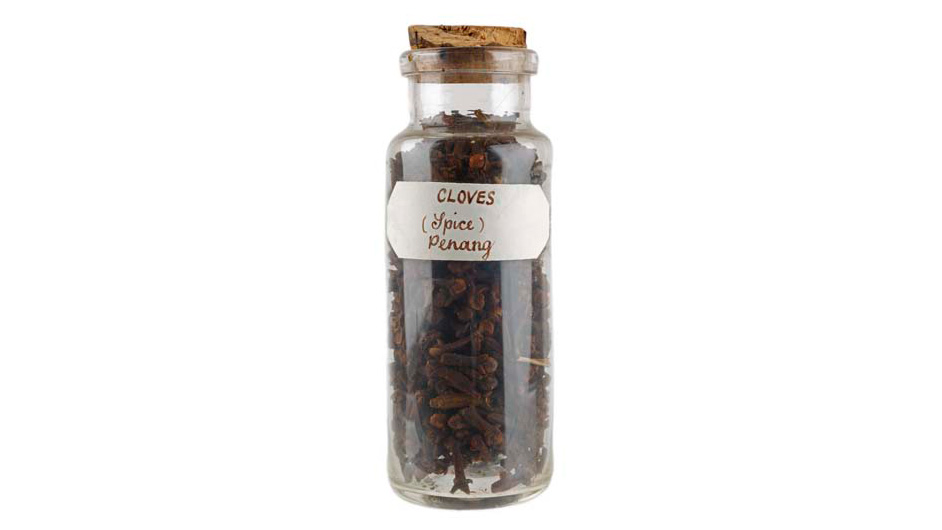 A clove sample from the early 20th century