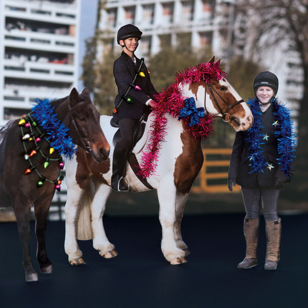 Every year the Ebony Horse Club decorate their ponies with tinsel.